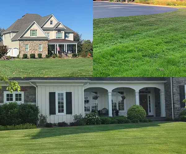 pictures of lawn rejuvenation projects in Chester County, PA